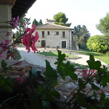 Tenuta Pizzogallo Amelia Eksteriør billede
