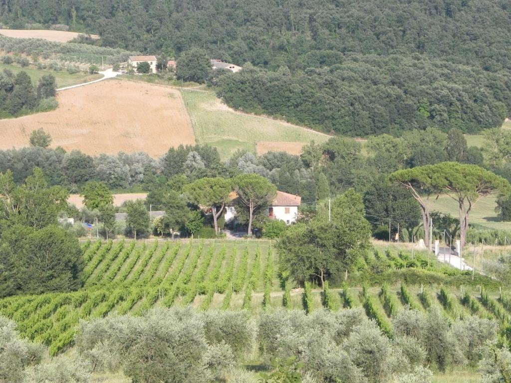 Tenuta Pizzogallo Amelia Værelse billede