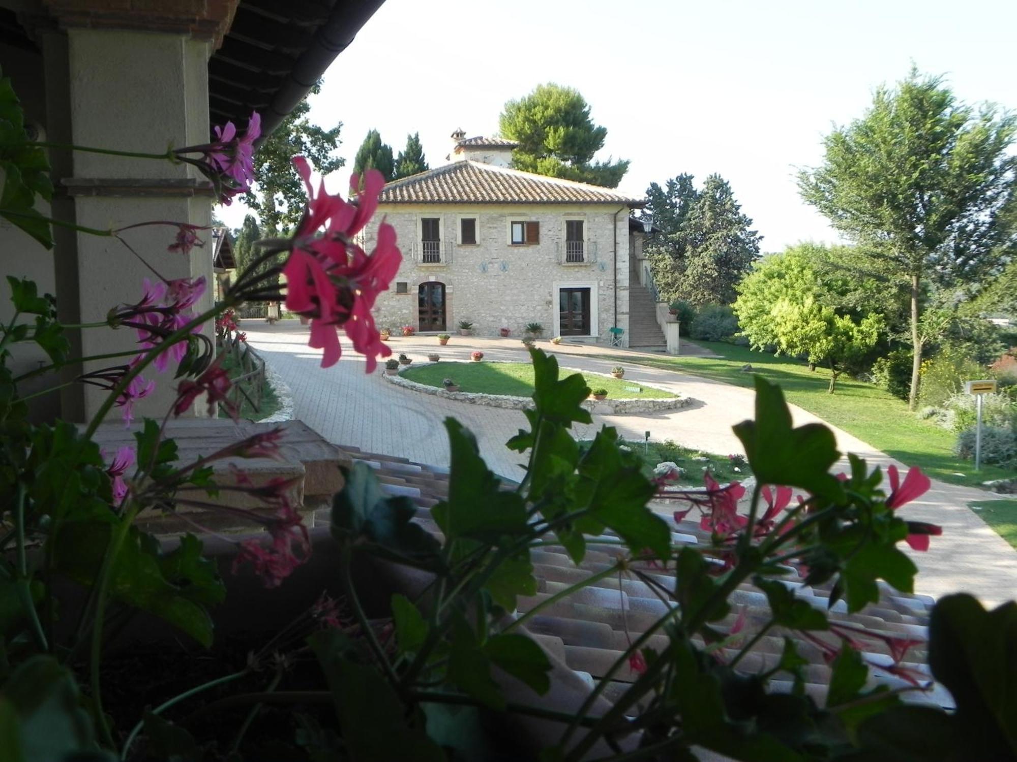 Tenuta Pizzogallo Amelia Eksteriør billede