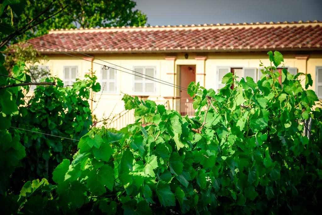 Tenuta Pizzogallo Amelia Eksteriør billede