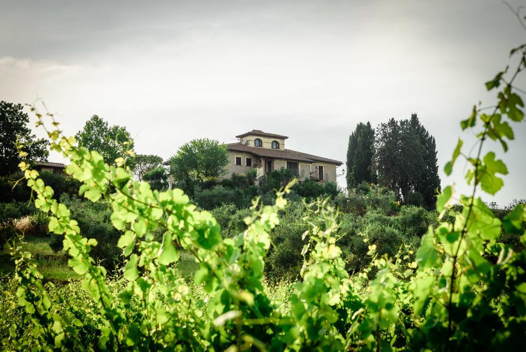 Tenuta Pizzogallo Amelia Eksteriør billede