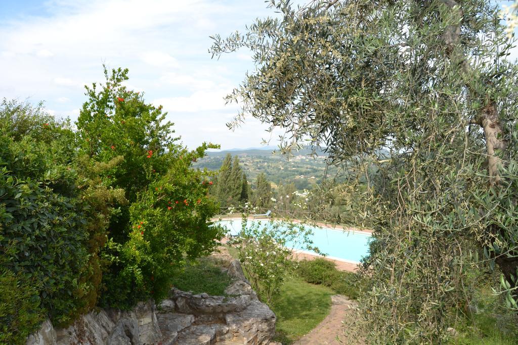 Tenuta Pizzogallo Amelia Eksteriør billede