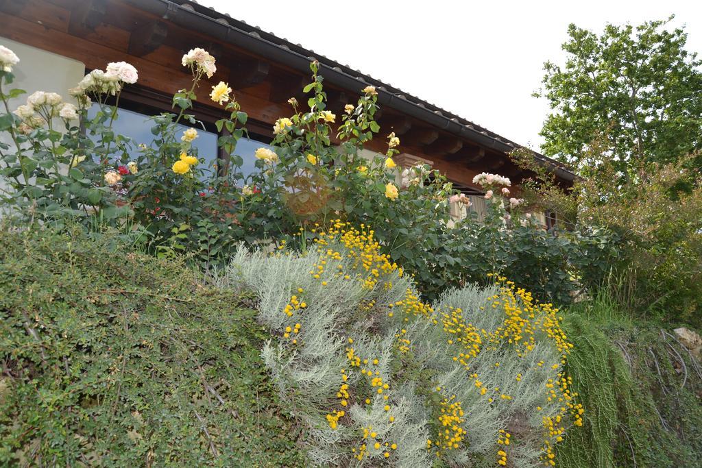 Tenuta Pizzogallo Amelia Eksteriør billede
