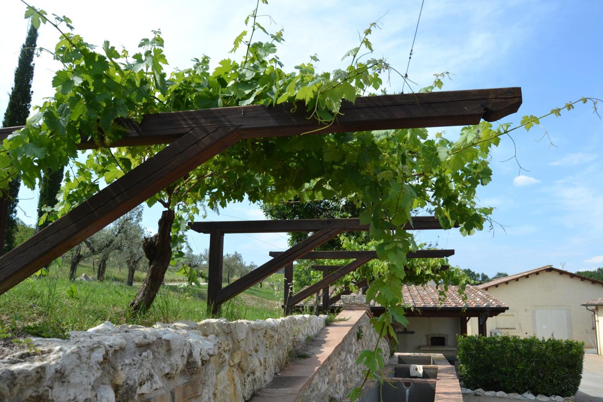 Tenuta Pizzogallo Amelia Eksteriør billede