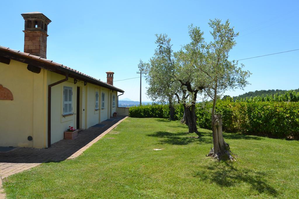 Tenuta Pizzogallo Amelia Eksteriør billede