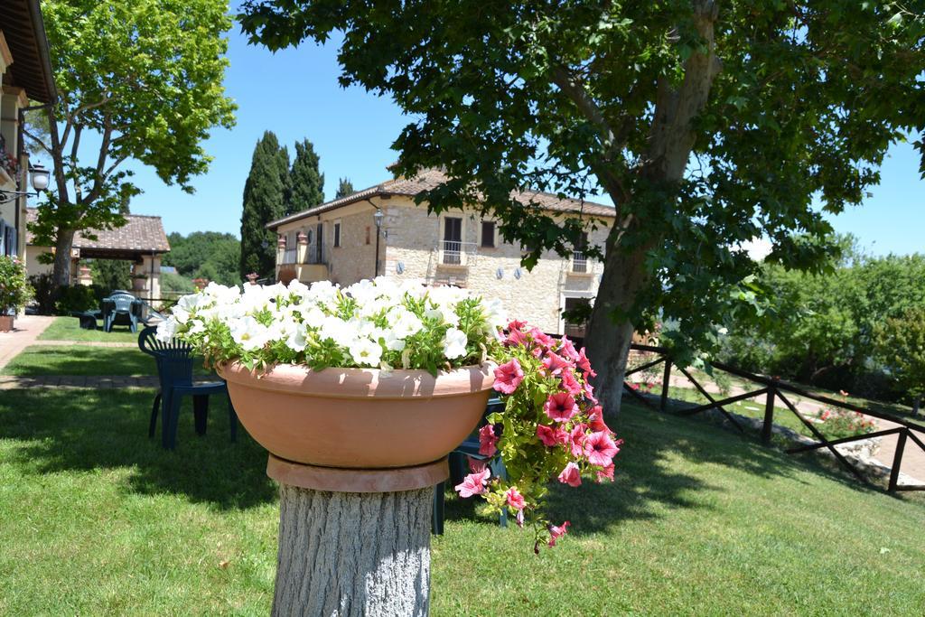 Tenuta Pizzogallo Amelia Eksteriør billede