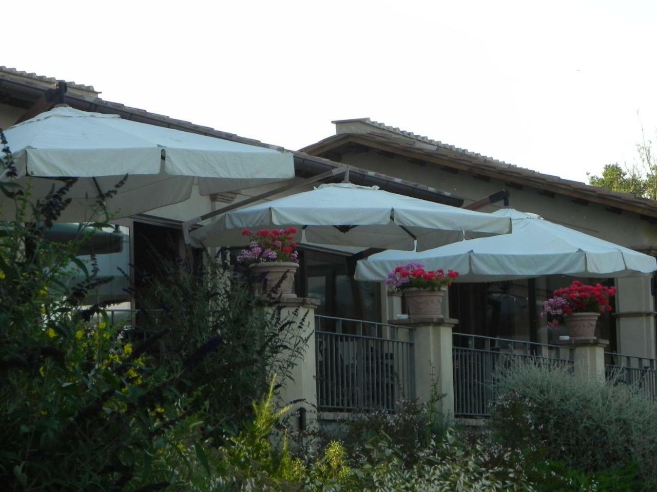 Tenuta Pizzogallo Amelia Eksteriør billede